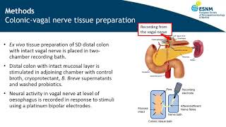 Bifidobacterium Breve NCFB 2258 stimulates vagal nerve firing across by Dervla OMalley [upl. by Eihtur500]