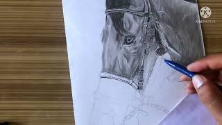 Realistic art of horse [upl. by Aiynot81]