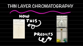 How to perform thin layer chromatography tutorial [upl. by Illak]