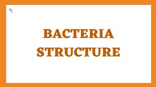 Bacteria Structure and Function  Morphology of Bacteria  Bacterial Cell Structure Microbiology [upl. by Innavoeg]