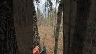 Filling feeders and checking stands whitetaildeer hunting [upl. by Aeslahc537]