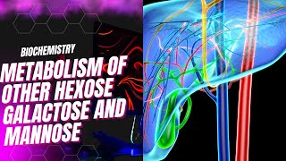 Metabolism of other hexose galactose and mannose [upl. by Otreblanauj119]