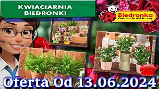 𝐁𝐈𝐄𝐃𝐑𝐎𝐍𝐊𝐀🐞Kwiaciarnia Biedronki Nowa Oferta Od 13062024 Kwiatowe Inspiracje Biedronki Tanie Kwiaty [upl. by Sabra]