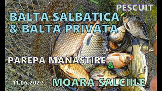 BALTA SALBATICA din Parepa Manastire si PESCUIT pe BALTA PRIVATA Moara Salciile 11 Iunie 2022 [upl. by Nitreb]