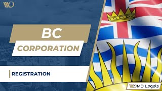 Incorporating a BC Company  Easy Registration Guide [upl. by Eustacia191]