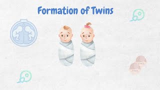 Formation of Twins ll Biology ll [upl. by Sarchet]