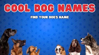 Cool Dog Names amp Meanings Find Your Pups Perfect Name [upl. by Dragde196]