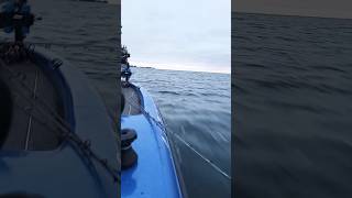 Triton Bass Boat on Lake Ontario to smash the Smallies lakeontario triton bassfishing bass [upl. by Nortna]