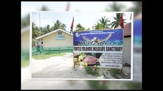 Turtle Islands Wildlife Sanctuary [upl. by Engracia653]