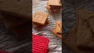 Homemade Graham Crackers [upl. by Reneta595]