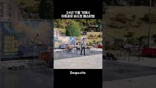 Despacito 24년11월 거제시 버스킹 페스티벌 [upl. by Helenka825]