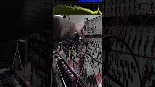 Mini Modular Synth Jam When Chaos Meets Harmony  1  Short synthesizer dawless [upl. by Ddet580]