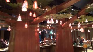 Golden Forest Lounge at Disney’s Sequoia Lodge 2014 [upl. by Anetsirhc690]