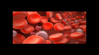 Building Your Hemoglobin Level Without Blood [upl. by Wynny]