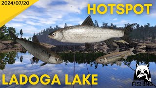 Ladoga Lake Whitefish hotspot Russian Fishing 4 [upl. by Gnas]