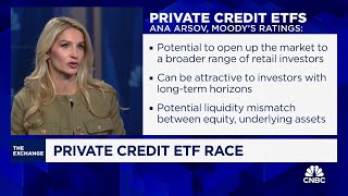 Private credit ETFs could provide opportunity to retail investors says Moodys Ana Arsov [upl. by Calderon]