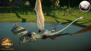 ALL DIMORPHODON SKINS SHOWCASE  Jurassic World Evolution 2 [upl. by Newlin]