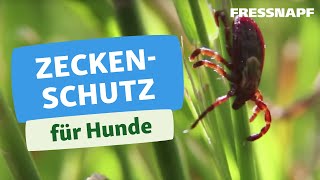 Zecken entfernen Hund  Gesundheit  FRESSNAPF [upl. by Mckeon738]