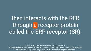 Signal Recognition Particle SRP  An InDepth Review in QampA Format [upl. by Questa693]