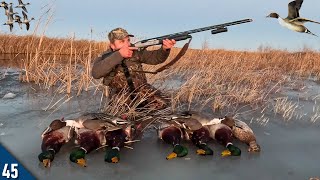 Pintail LIMITS Over an ICE HOLE  28 Gauge Duck Hunting [upl. by Adnamma982]