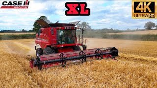 4K UHD 2024 XL Case 7120 Combine Harvesting Wheat Agriculture Tractor Staffordshire UK [upl. by Llehcear]