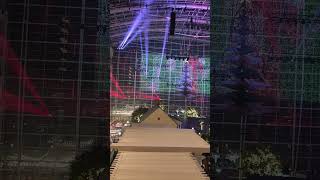 Christmas light show shots viral Christmas gaylord [upl. by Nnyroc]