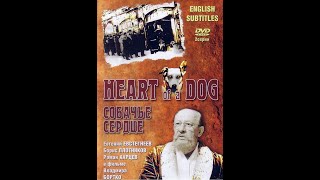 Heart of a Dog 1 and 2 parts English subtitles [upl. by Nirtiak]