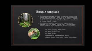 Tipos de ecosistemas en México [upl. by Adikram]