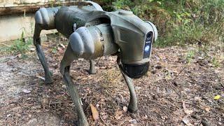 Robot dogs could be unleashed on Ukraines front lines  AFP [upl. by Bickart]