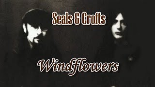 Windflowers  Seals amp Crofts Karaoke [upl. by Consuela]