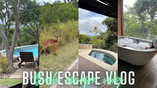 Bush Getaway VLOG  Luxury Safari Suite  Baecation  Room Tour  South African YouTuber [upl. by Wat22]