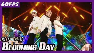 60FPS 1080P  EXOCBX  Blooming Day 엑소첸벡시  花요일 Show Music Core 20180414 [upl. by Daryle547]