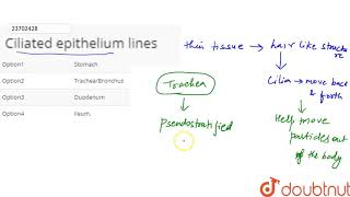 Ciliated epithelium lines [upl. by Otsuj]