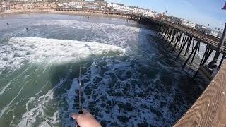 Pismo Pier Fishing  January 2021 [upl. by Yrek]