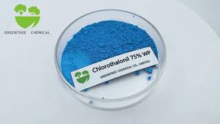 Chlorothalonil 75 WP CAS 1897456 fungicide [upl. by Jennilee263]