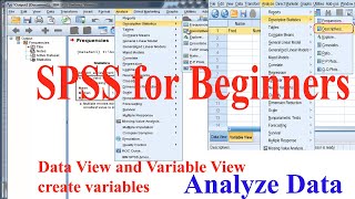 SPSS for Beginners [upl. by Enneite]