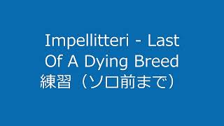 Impellitteri  Last Of A Dying Breed 練習ソロ前まで [upl. by Nelleeus763]