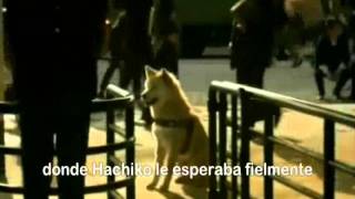 La verdadera Historia de Hachiko Narrado [upl. by Adai]