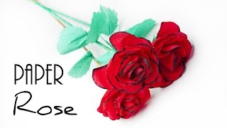 How to make Rose paper flower 🌺 Crepe paper flowers [upl. by Brittany]