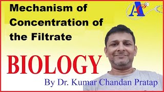 Mechanism of Concentration of the Filtrate [upl. by Itak]