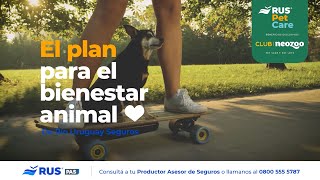 RUS Pet Care  Neozoo el plan para el bienestar animal [upl. by Flanna]