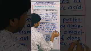 Glycolysis vs Fermentation  respiration in plants class 11 [upl. by Zalea390]