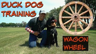 Duck Dog Training Wagon Wheel [upl. by Bromley]