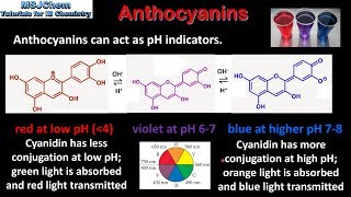 B9 Anthocyanins HL [upl. by Kellen]