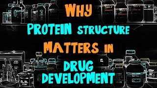 Why Protein Structure Matters in Drug Development Lab Chat with Steven Almo PhD [upl. by Tizes989]