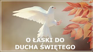 MODLITWA DO DUCHA ŚWIĘTEGO O WYPROSZENIE ŁASK  Modlitwa do Ducha Świętego o pomoc [upl. by Fu]