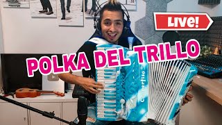 POLKA DEL TRILLO live fisarmonica polka [upl. by Scharaga49]