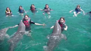 Swimming with Dolphins Nassau Bahamas [upl. by Lahpos]