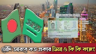 সৌদি আরবে কত প্রকার ভিসা ও কি কি কাজ saudi arabia company visa free visa saplay visa [upl. by Craw]