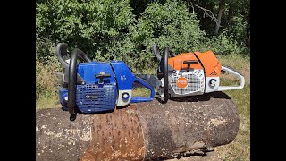 Stihl MS881 vs Holzfforma G888 same bar and chainmuffler modded poparamiro [upl. by Acimaj]